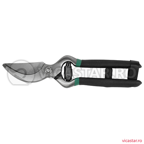 FOARFECA PENTRU CURATAT VIA Blach