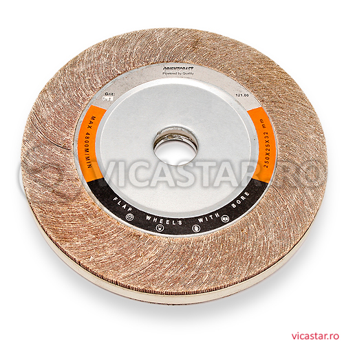 FLAP DISC PTR. MASINI FIXE 250X25X32 P120